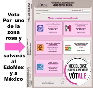 Vota por uno de la zona rosa